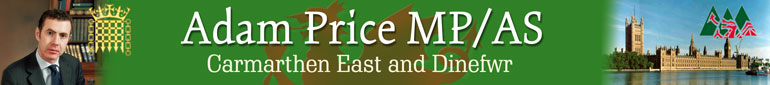 Adam Price MP / AS - Carmarthen East and Dinefwr
